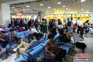 海南出臺商品住宅價格備案新規 備案后半年內不得調高，助力旅游業發展